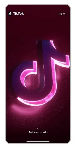 TikTok Ads 101